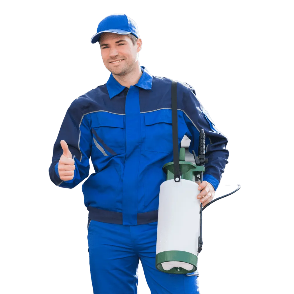 Disinfestazione e Derattizzazione